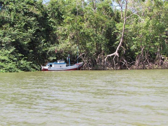 PMs matam por engano garoto no Marajó