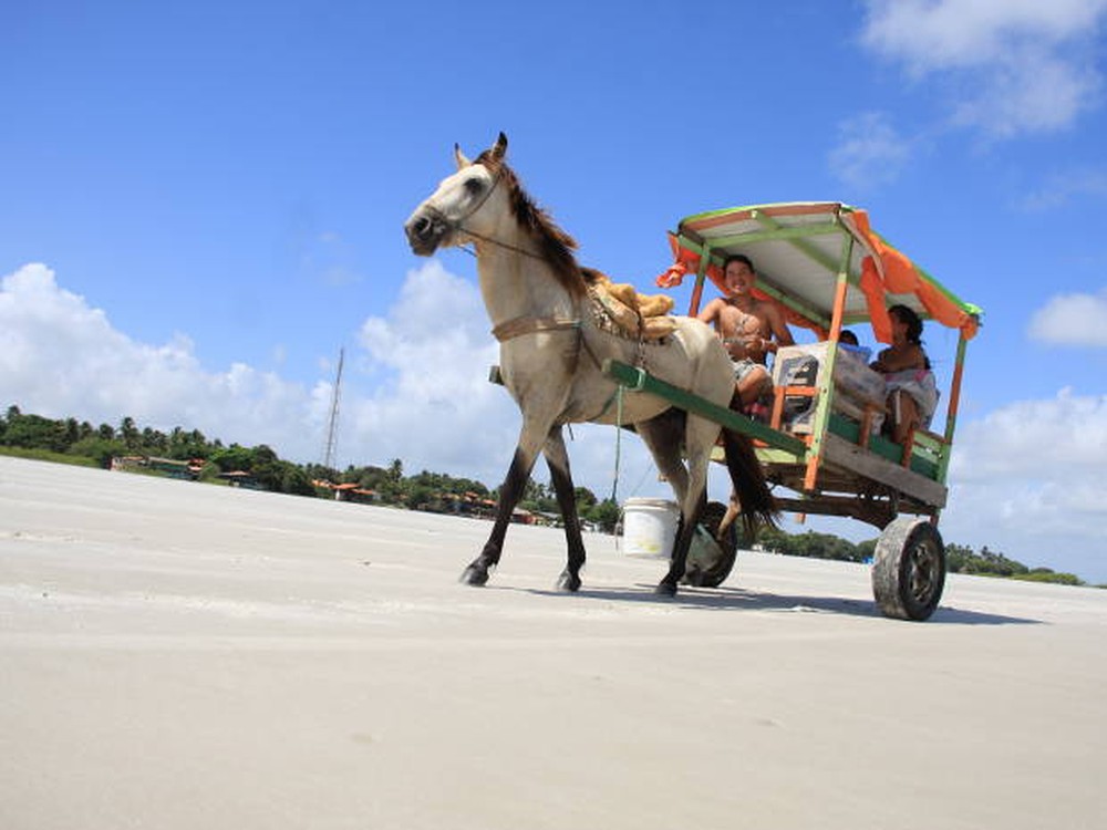 Algodoal proíbe entrada de turistas por tempo indeterminado