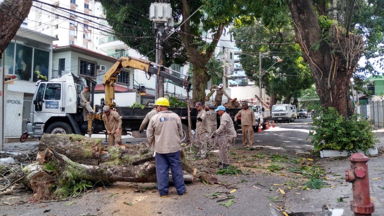 Poda altera tráfego na Tv. Apinagés e Rua dos Mundurucus neste final de semana