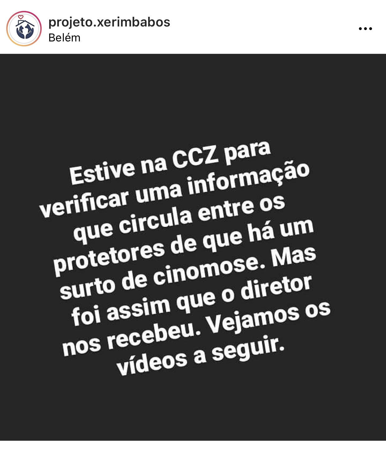 Diretor do Centro de Controle de Zoonoses de Belém é acusado de destratar ativista da causa animal