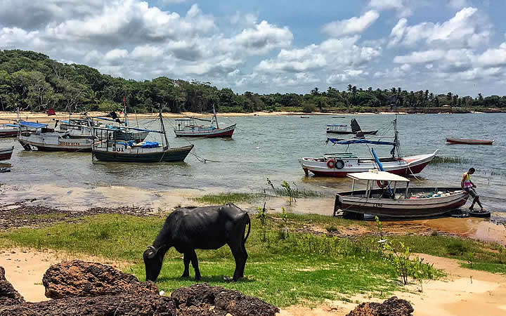 Decreto proíbe viagens entre Belém e o Marajó no Carnaval