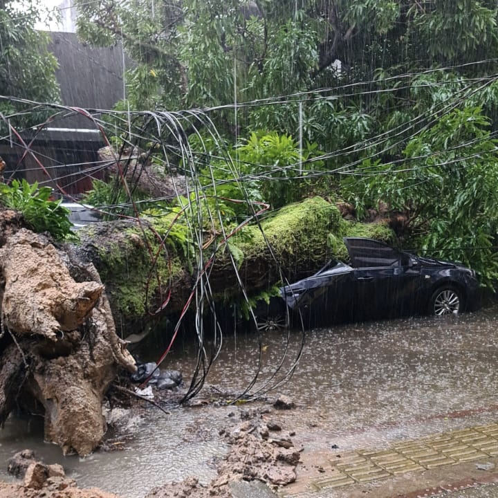 Belém tem mais um dia de temporal; veja os estragos