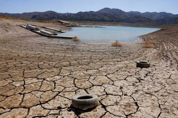 Regiões Norte e Nordeste enfrentam pior seca desde 1980 devido à escassez de chuvas
